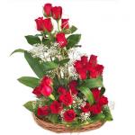 Send Beautiful Wish to Pakistan