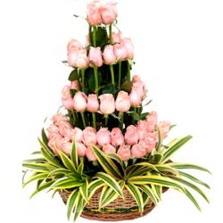 Delicate Beauty Of Roses