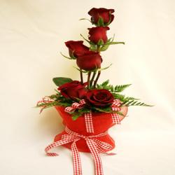 Half Dozen Red Roses Bouquet